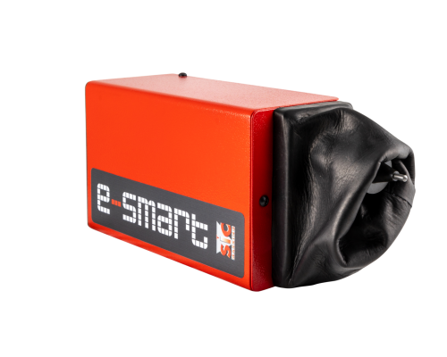 DP_Esmart_T_F_281